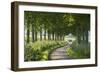 Winding Tree Lined Country Lane, Dorset, England. Summer (July)-Adam Burton-Framed Photographic Print