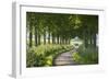 Winding Tree Lined Country Lane, Dorset, England. Summer (July)-Adam Burton-Framed Photographic Print