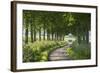 Winding Tree Lined Country Lane, Dorset, England. Summer (July)-Adam Burton-Framed Photographic Print