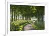 Winding Tree Lined Country Lane, Dorset, England. Summer (July)-Adam Burton-Framed Photographic Print