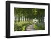 Winding Tree Lined Country Lane, Dorset, England. Summer (July)-Adam Burton-Framed Photographic Print