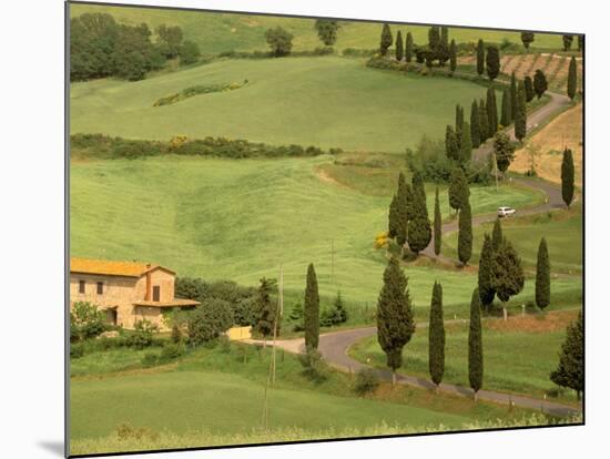 Winding Tuscan Road, Monticchiello, Tuscany, Italy-Walter Bibikow-Mounted Photographic Print