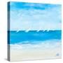 Windjammer I-Julie DeRice-Stretched Canvas