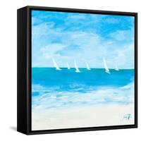 Windjammer II-Julie DeRice-Framed Stretched Canvas