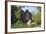 Windjana Gorge, the Kimberleys, Western Australia, Australia, Pacific-Michael Runkel-Framed Photographic Print