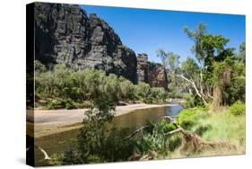 Windjana Gorge, the Kimberleys, Western Australia, Australia, Pacific-Michael Runkel-Stretched Canvas