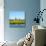 Windmill Amsterdam-Graphicstockphoto-Photographic Print displayed on a wall