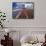 Windmill and Flower Field in Holland-Jim Zuckerman-Framed Stretched Canvas displayed on a wall