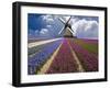 Windmill and Flower Field in Holland-Jim Zuckerman-Framed Premium Photographic Print