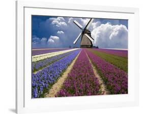 Windmill and Flower Field in Holland-Jim Zuckerman-Framed Photographic Print