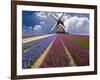 Windmill and Flower Field in Holland-Jim Zuckerman-Framed Photographic Print