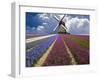 Windmill and Flower Field in Holland-Jim Zuckerman-Framed Photographic Print