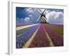 Windmill and Flower Field in Holland-Jim Zuckerman-Framed Photographic Print