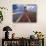 Windmill and Flower Field in Holland-Jim Zuckerman-Photographic Print displayed on a wall