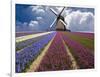 Windmill and Flower Field in Holland-Jim Zuckerman-Framed Photographic Print