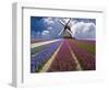 Windmill and Flower Field in Holland-Jim Zuckerman-Framed Photographic Print