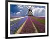 Windmill and Flower Field in Holland-Jim Zuckerman-Framed Photographic Print