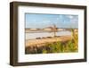 Windmill and salt flats, Saline Ettore e Infersa, Marsala, province of Trapani, Sicily-Paolo Graziosi-Framed Photographic Print