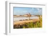 Windmill and salt flats, Saline Ettore e Infersa, Marsala, province of Trapani, Sicily-Paolo Graziosi-Framed Photographic Print