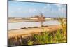 Windmill and salt flats, Saline Ettore e Infersa, Marsala, province of Trapani, Sicily-Paolo Graziosi-Mounted Photographic Print