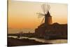 Windmill and Saltworks at Sunset, Marsala, Sicily, Italy-Massimo Borchi-Stretched Canvas
