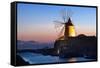 Windmill and Saltworks at Sunset, Marsala, Sicily, Italy-Massimo Borchi-Framed Stretched Canvas