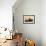 Windmill and Saltworks at Sunset, Marsala, Sicily, Italy-Massimo Borchi-Framed Photographic Print displayed on a wall