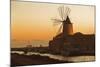 Windmill and Saltworks at Sunset, Marsala, Sicily, Italy-Massimo Borchi-Mounted Photographic Print