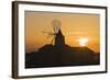 Windmill and Saltworks at Sunset, Marsala, Sicily, Italy-Massimo Borchi-Framed Photographic Print