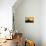 Windmill and Saltworks at Sunset, Marsala, Sicily, Italy-Massimo Borchi-Photographic Print displayed on a wall