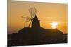 Windmill and Saltworks at Sunset, Marsala, Sicily, Italy-Massimo Borchi-Mounted Photographic Print