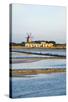 Windmill and Saltworks, Marsala, Sicily, Italy-Massimo Borchi-Stretched Canvas