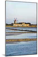 Windmill and Saltworks, Marsala, Sicily, Italy-Massimo Borchi-Mounted Photographic Print