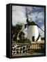 Windmill, Antigua, Fuerteventura, Canary Islands-Peter Thompson-Framed Stretched Canvas