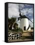 Windmill, Antigua, Fuerteventura, Canary Islands-Peter Thompson-Framed Stretched Canvas