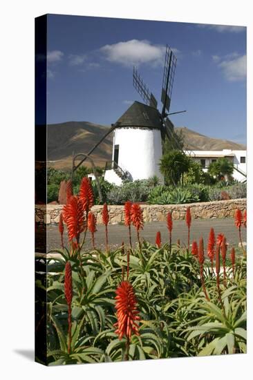 Windmill, Antigua, Fuerteventura, Canary Islands-Peter Thompson-Stretched Canvas