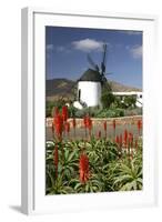 Windmill, Antigua, Fuerteventura, Canary Islands-Peter Thompson-Framed Photographic Print