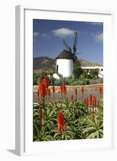 Windmill, Antigua, Fuerteventura, Canary Islands-Peter Thompson-Framed Photographic Print