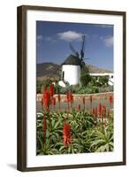 Windmill, Antigua, Fuerteventura, Canary Islands-Peter Thompson-Framed Photographic Print