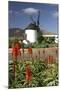 Windmill, Antigua, Fuerteventura, Canary Islands-Peter Thompson-Mounted Photographic Print