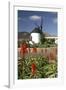 Windmill, Antigua, Fuerteventura, Canary Islands-Peter Thompson-Framed Photographic Print