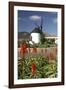 Windmill, Antigua, Fuerteventura, Canary Islands-Peter Thompson-Framed Photographic Print