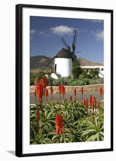 Windmill, Antigua, Fuerteventura, Canary Islands-Peter Thompson-Framed Photographic Print