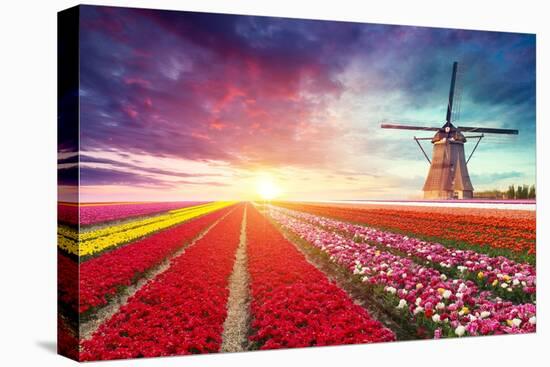 Windmill at Sunrise in Netherlands. Traditional Dutch Windmill, Green Grass, Fence against Colorful-Kishivan-Stretched Canvas
