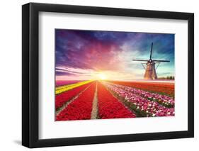 Windmill at Sunrise in Netherlands. Traditional Dutch Windmill, Green Grass, Fence against Colorful-Kishivan-Framed Photographic Print