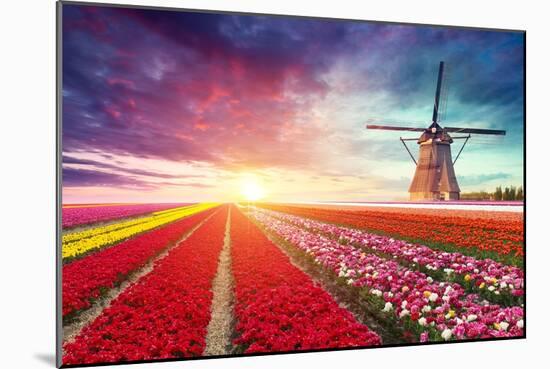 Windmill at Sunrise in Netherlands. Traditional Dutch Windmill, Green Grass, Fence against Colorful-Kishivan-Mounted Photographic Print