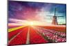 Windmill at Sunrise in Netherlands. Traditional Dutch Windmill, Green Grass, Fence against Colorful-Kishivan-Mounted Premium Photographic Print