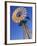 Windmill at Western Australia, Australia-Doug Pearson-Framed Photographic Print