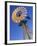 Windmill at Western Australia, Australia-Doug Pearson-Framed Photographic Print