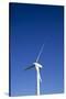 Windmill, Cleveland, Ohio-Paul Souders-Stretched Canvas
